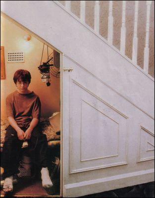 Qu'il est donc connu cet escalier sous lequel est maltraité un orphelin, c'est celui...