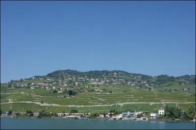 Le Lavaux, région suisse au bord du Léman, est réputé pour...