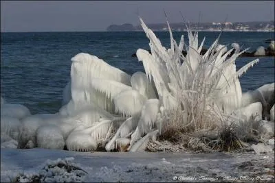 Combien de cantons suisses bordent le lac Léman ?