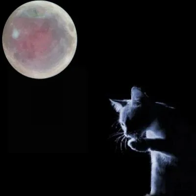 Traditionnellement, avec quels fruits prépare-t-on une "Tarte Tatin" ?