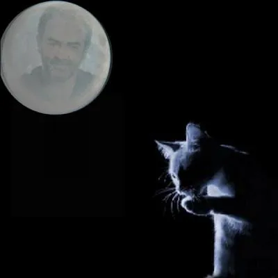 Avec quel comédien Yvan Le Bolloc'h a-t-il animé "Télé Zèbre" ?