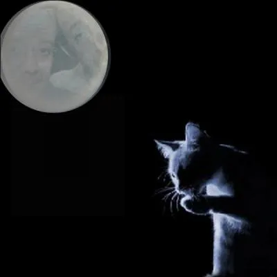 Quel duo comique est l'inventeur du "Kamoulox" ?