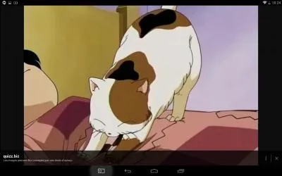 Comment s'appelle son chat ?