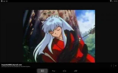 Qui est Inuyasha ?
