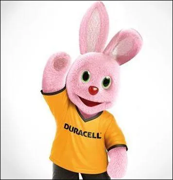Le lapin Duracell, tout le monde le connait. Quels produits sont vendus par Duracell ?