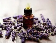 Si votre "petit bout" est agité et dort mal la nuit, vous pouvez lui masser légèrement le plexus solaire avec trois à cinq gouttes d'huile essentielle de cette plante durant quelques secondes .