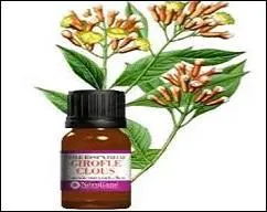 Vous partez à l'aventure et vous pourrez déjouer les petits bobos avec l'huile essentielle de girofle en raison de ses propriétés bien connues, ----.