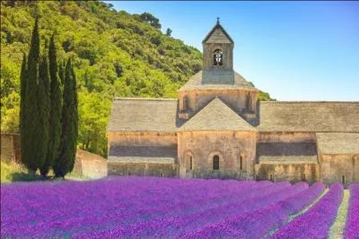 Quelle est cette abbaye située sur la commune de Gordes, superbe village du Vaucluse où vous serez entourés par les lavandes odorantes ?