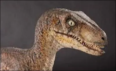 Lequel de ces noms de vélociraptors n'en n'est pas un de Jurassic World ?