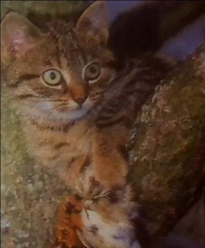 Combien a-t-elle de frères et de soeurs en tout ?