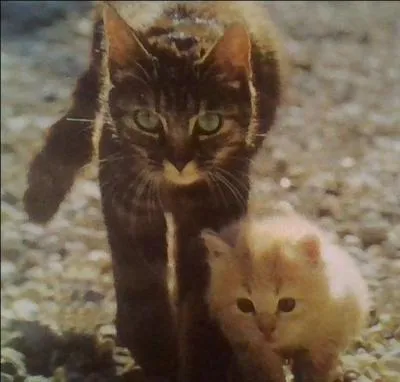 Savait-elle, à part "maman", qu'elle avait une mère ?