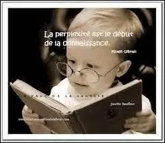 Nous voyons régulièrement sur le site, de nouveaux créateurs faire des débuts prometteurs. Quel substantif convient ?