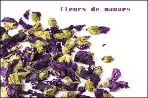 Quelle tisane ferez-vous pour faciliter l'expectoration ?