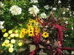 La photo est simplement pour faire joli... 
Selon une expression idiomatique, quel animal se trouve caché sous les fleurs ?