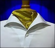 Jeune homme, vous vous piquez d'élégance ! Vous n'êtes qu'un ----.