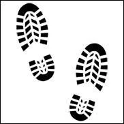 Au coeur de l'arène.