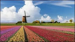 Le pays était autrefois dominé à l'époque des puissances coloniales, et était désigné sous le nom de "Indes orientales néerlandaises". Parvenez-vous à déduire quelle puissance coloniale gouvernait ce pays ?