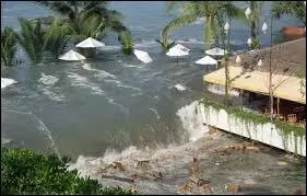 Il y a quelques années, un violent tsunami ravage de nombreux pays d'Asie (dont celui qui fait l'objet de ce quiz) et entraîne la mort d'au moins 220 000 personnes. En quelle année s'est produit ce tsunami ?