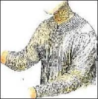 Vous portez pour tout vêtement un bien vilain "cince", élimé, râpé, froissé.