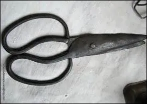 Si vous étiez tailleur, de quel engin vous serviriez-vous ?