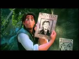 Pourquoi Flynn Rider est-il recherché ?