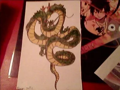 Dans quel manga est ce dragon ?