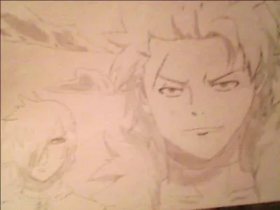 De quel manga sortent ces deux personnages ?