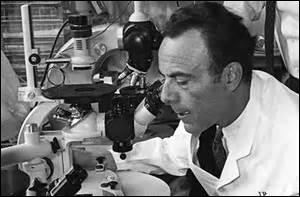 Pour quels travaux le Français Jacques Monod obtint-il le prix Nobel de médecine en 1965 ?