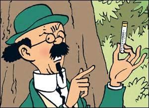 Quel est le prénom du professeur Tournesol dans la série des BD de Tintin ?
