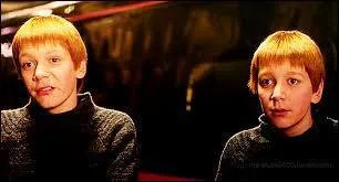 Fred et George sont-ils vraiment des jumeaux ?