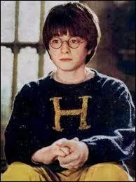 À quelle fête et par qui Harry a-t-il eu ce pull ?