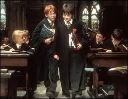 Lors de son premier cours au château, quelle matière étudie Harry ?