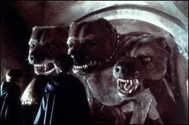Comment s'appelle le chien à trois têtes ?
