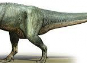 Quiz Des dinosaures 1 - Le daspletosaurus