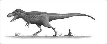 Par qui ? (Cf question précédente)