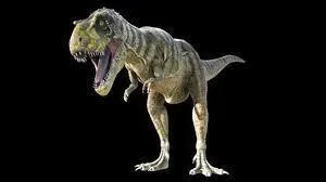 En tout, combien de squelettes de Daspletosaurus a-t-on trouvés ?