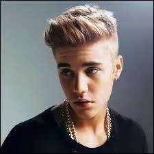 Comment appelle-t-on les fans de Justin ?