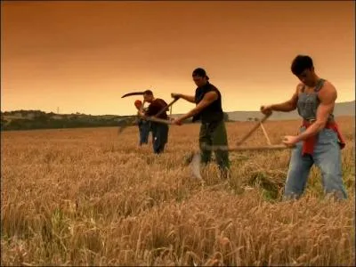 Jour 10. Outil manuel à longue lame et long manche, utilisé pour faucher l'herbe ou les céréales.