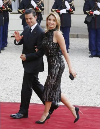 Un ancien président de ce pays et sa femme ont été accueillis en France en 2015 lors du défilé du 14 juillet. Comment s'appelle cet ancien président ?