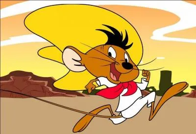 Un personnage des Looney Tunes est célèbre pour être la souris la plus rapide de ce pays. Savez-vous de quelle souris je parle ?