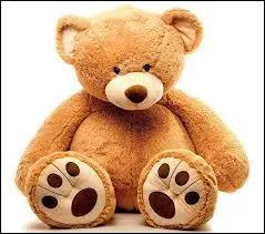 Si vous collectionnez des ours en peluche, vous êtes :