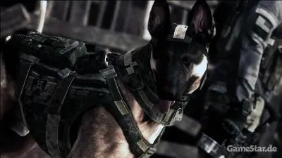 En Zombie, y a-t-il les chiens ?