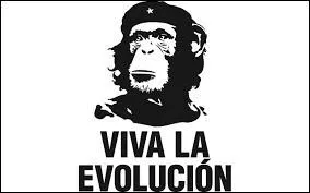 Charles Darwin a émis un commentaire sur une des professions les plus faciles au monde (ou presque). « Un [...] est un aveugle qui, dans une pièce sombre, cherche un chat noir qui n'y est pas. » De quelle profession parle-t-il ?