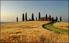 En moyenne, combien d'habitants trouve-t-on au km&sup2; en Italie ?