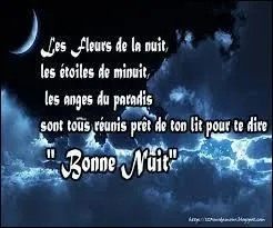 Il n'était pas très long, ... bon, bonne nuit !