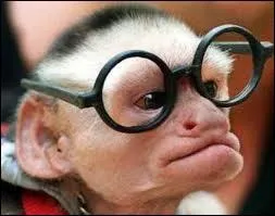 « Cependant », agréable alternative à « ... ».