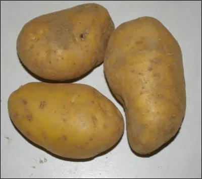 On recherche un bonne pomme de terre qui reste ferme pour déguster une raclette :