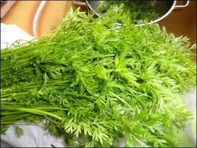 Allez, encore un petit effort !