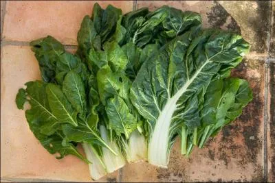 Rappelez-moi le nom de ces légumes :