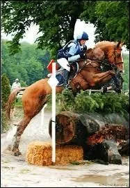 Quelle est cette discipline ?